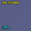 HD 255066