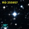 HD 255957