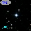 TYC 1318-646-1