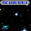 TYC 1318-829-1