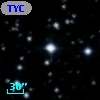 TYC 1319-88-1