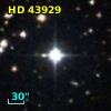 HD  43929