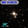 HD 254929