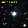 HD 255497