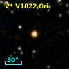 V* V1822 Ori