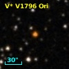 V* V1796 Ori