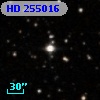 HD 255016