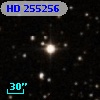 HD 255256