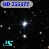 HD 255177