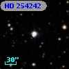 HD 254242