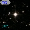 TYC 1315-922-1