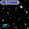 HD 255866