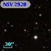 NSV  2920