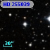 HD 255039