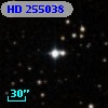 HD 255038