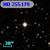 HD 255178