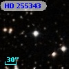 HD 255343