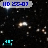 HD 255437