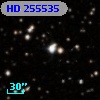 HD 255535