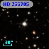 HD 255705