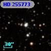 HD 255773