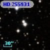 HD 255831