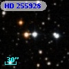 HD 255928