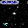 HD 256049