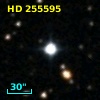 HD 255595