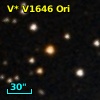 V* V1646 Ori