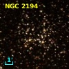 NGC  2194