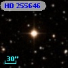 HD 255646