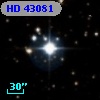 HD  43081