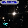 HD 255070