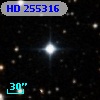 HD 255316