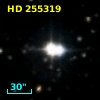 HD 255319