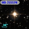 HD 255570
