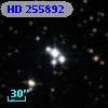HD 255892