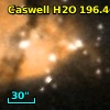 Caswell H2O 196.46-01.68