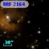 RRF 2164