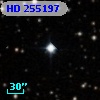 HD 255197