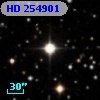HD 254901