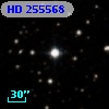 HD 255568