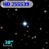 HD 255539