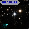 HD 255198