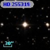 HD 255318