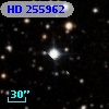 HD 255962