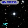 HD 255833