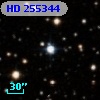 HD 255344