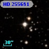 HD 255681